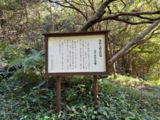 四国八十八ヶ所霊場 第25番札所 津照寺〜第26番札所 金剛頂寺