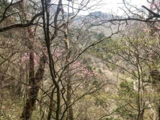 石鎚山 2019年4月28日