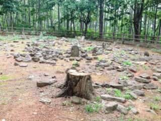 西崎山環状列石（ストーンサークル）
