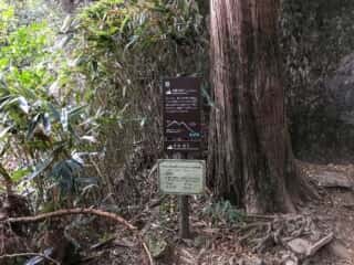 筑波山 弁慶七戻り