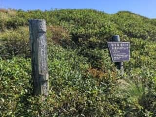 大山登山道