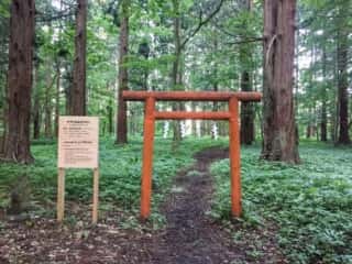 出羽三山 伊弉諾稲神社
