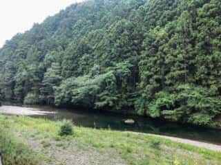 もみじ川