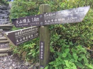 大山登山道
