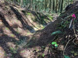 四国八十八ヶ所霊場 第42番札所 仏木寺〜第43番札所 明石寺
