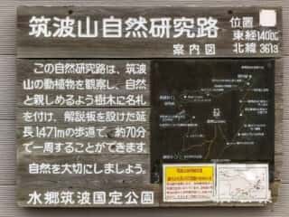 筑波山自然研究路