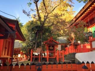 色鮮やかな春日大社の境内