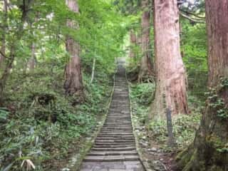 出羽三山神社 二の坂参道