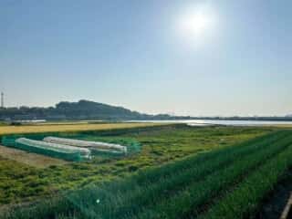 四国八十八ヶ所霊場 第67番札所 大興寺〜第68番札所 神恵院