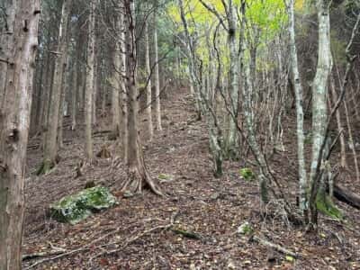 土佐矢筈山・小桧曽山