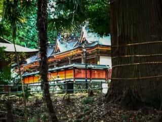 丹生都比売神社 本殿