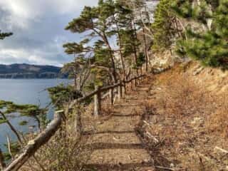 金華山周遊道倒木整備