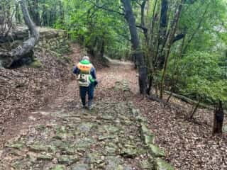 四国八十八ヶ所霊場 第31番札所 竹林寺～第32番札所 禅師峰寺