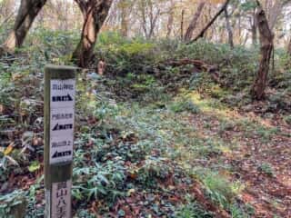 真山登山道