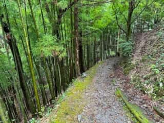 四国八十八ヶ所霊場 第12番札所 焼山寺〜第13番札所 大日寺