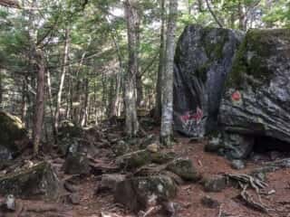 権現岳登山道