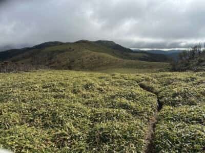 土佐矢筈山・小桧曽山