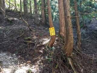山上ヶ岳（大峯山）登山道