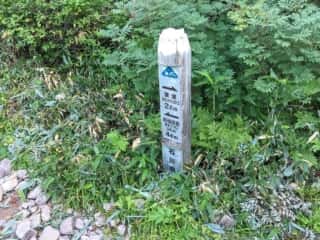 観光新道登山道　