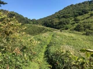 積丹岬自然公園遊歩道