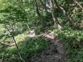 大山登山道