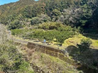 四国八十八ヶ所霊場 第38番札所 金剛福寺～第39番札所 延光寺