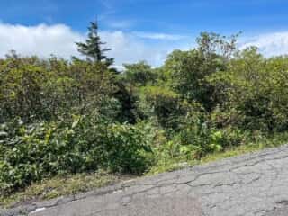 屏風岳・刈田岳 登山道