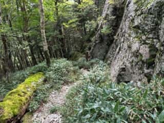 剣山登山2025年9月