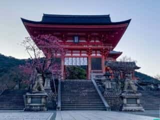 清水寺 仁王門