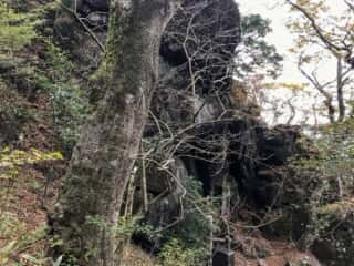 筑波山 立身石