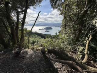 竹ケ島頂上整備工事