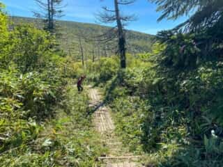 屏風岳・刈田岳 登山道