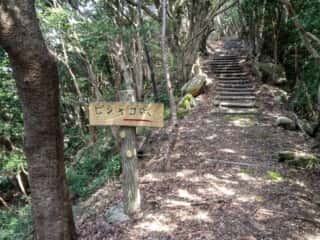 四国の道 竹ヶ島