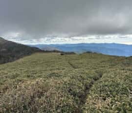 土佐矢筈山