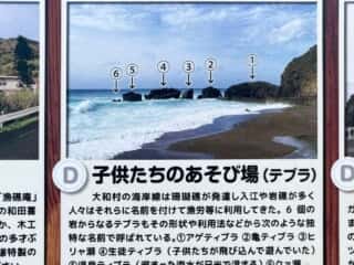 奄美大島 戸円ふれあいパーク
