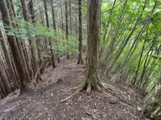 矢筈山・石堂山