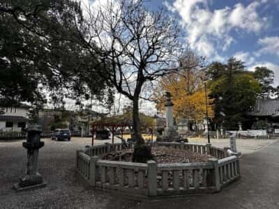 大御和神社