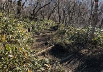 黒檜山 登山道