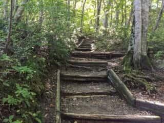 大山登山道