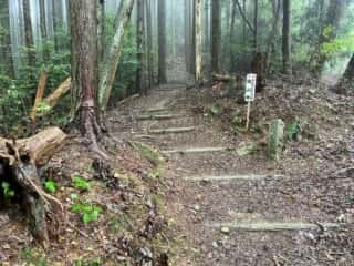 四国八十八ヶ所霊場 第11番札所 藤井寺〜第12番札所 焼山寺