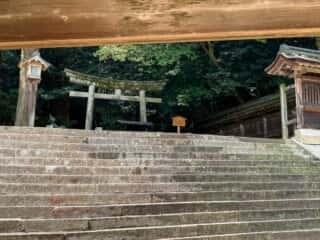 金刀比羅宮