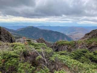 中岳登山道