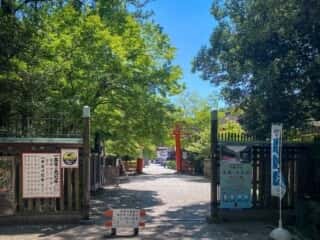 下鴨神社