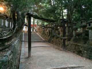 春日大社の参道