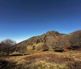 前鳥帽子山
