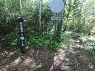 礼文岳登山道