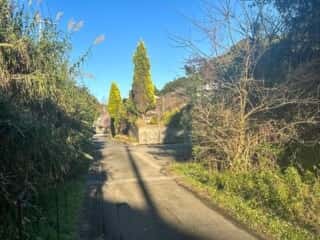 四国八十八ヶ所霊場 第37番札所 岩本寺～第38番札所 金剛福寺