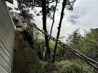 中津山