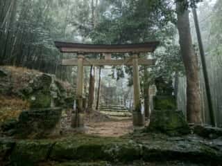 四国八十八ヶ所霊場 第30番札所 善楽寺～第31番札所 竹林寺（五台山）