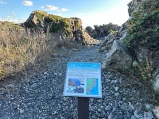 室戸岬ジオパーク